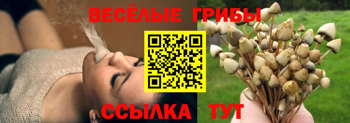 Псилоцибиновые грибы Psilocybe Лангепас